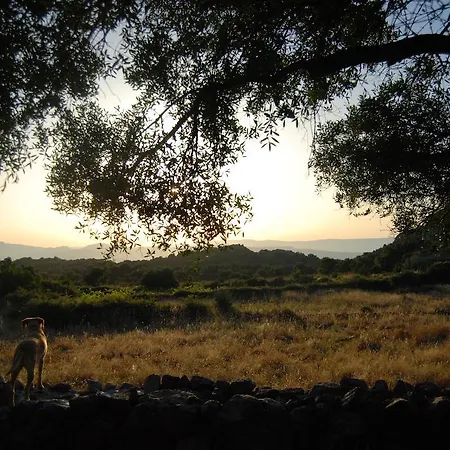 Valverde Lantställe *